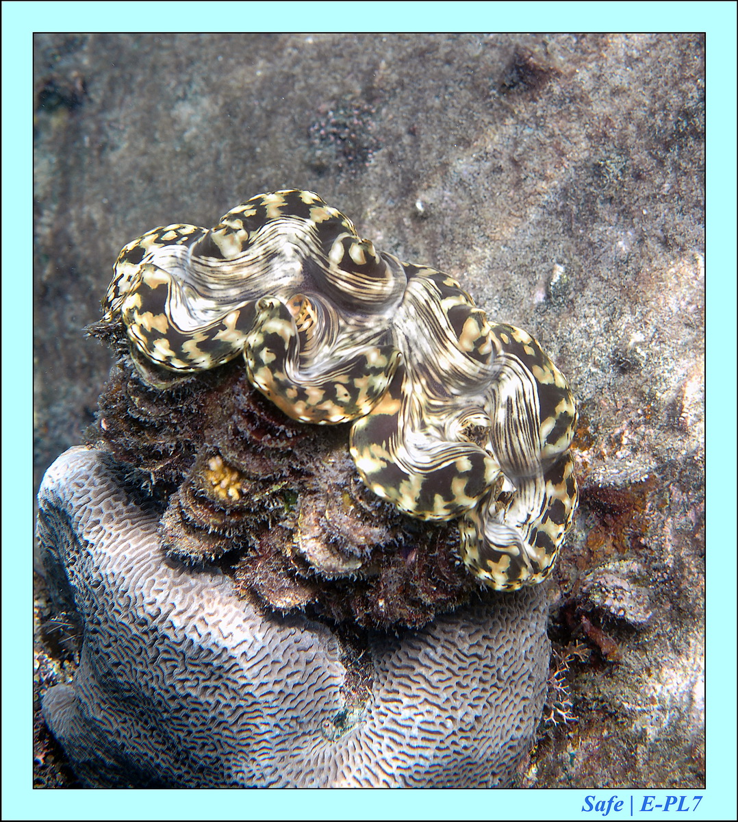 2015   07   Peranthian Islands 49